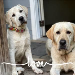 Meet your Posher, Katy